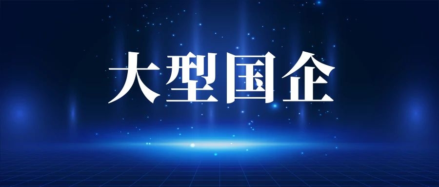 2025年红河州建水供销集团有限公司招聘公告
