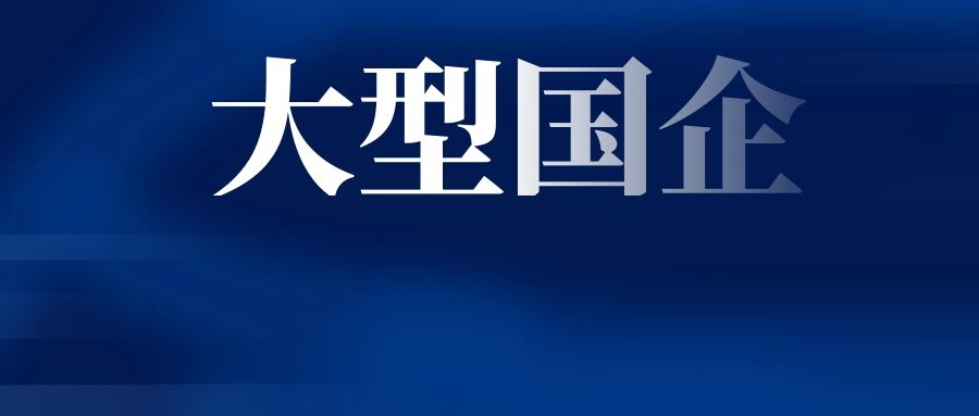 昆明市安居集团有限公司2025年招聘公告